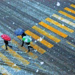 tre ombrellini sotto la neve1